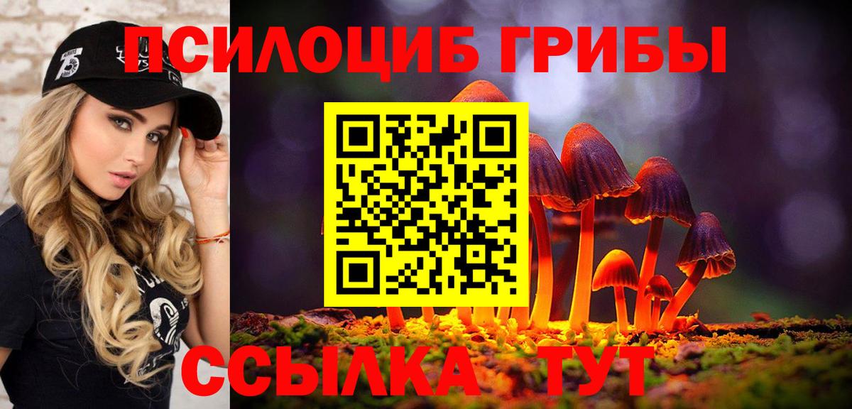 Псилоцибиновые грибы Psilocybine cubensis Сорочинск